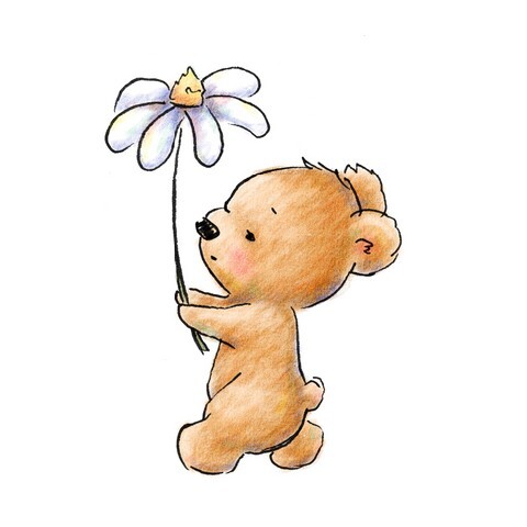 cute baby bear walking with flower